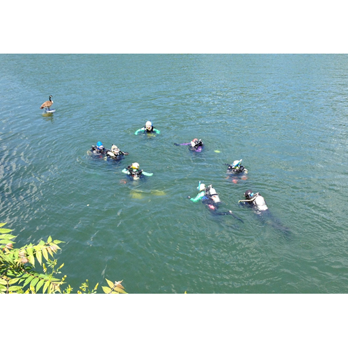Training Dives